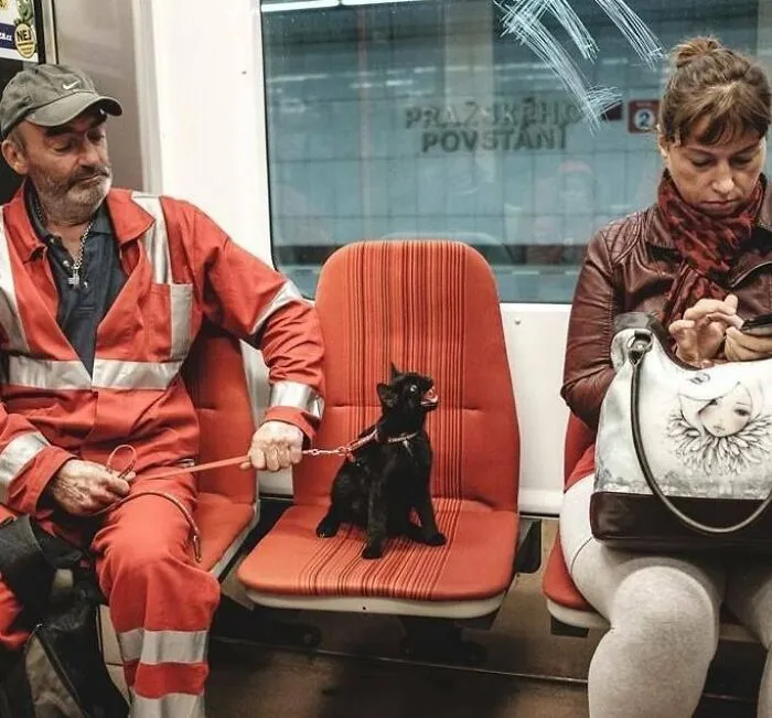 64 Wholesome Animal Photos Shared By This Page That Might Make You Smile Without Even Trying