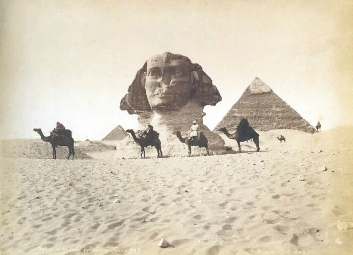 Vintage photo of the Great Sphinx and pyramids in the desert with camels, an intact object of history.