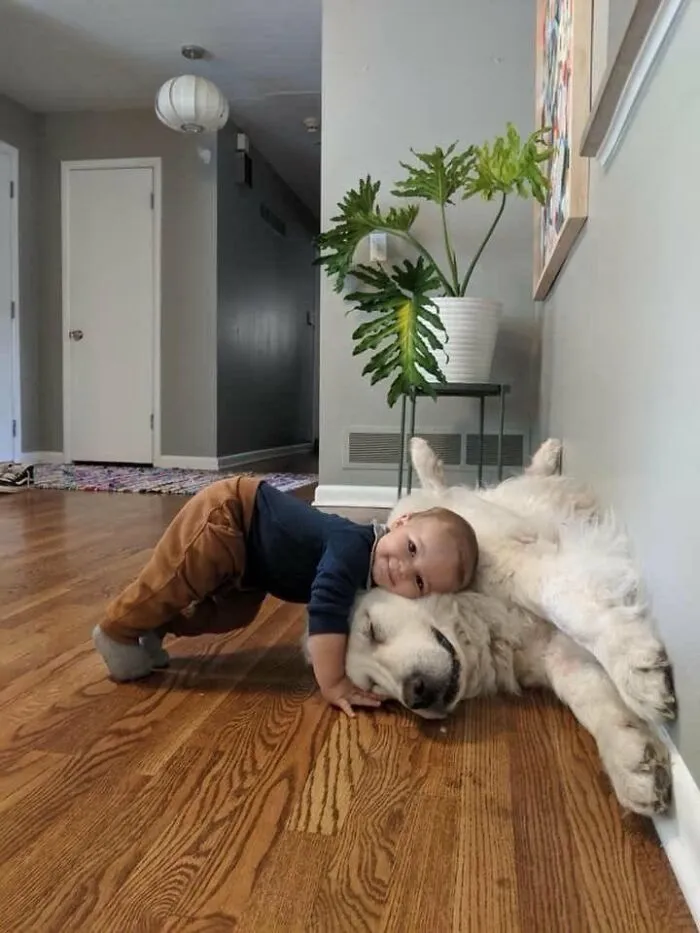 64 Wholesome Animal Photos Shared By This Page That Might Make You Smile Without Even Trying