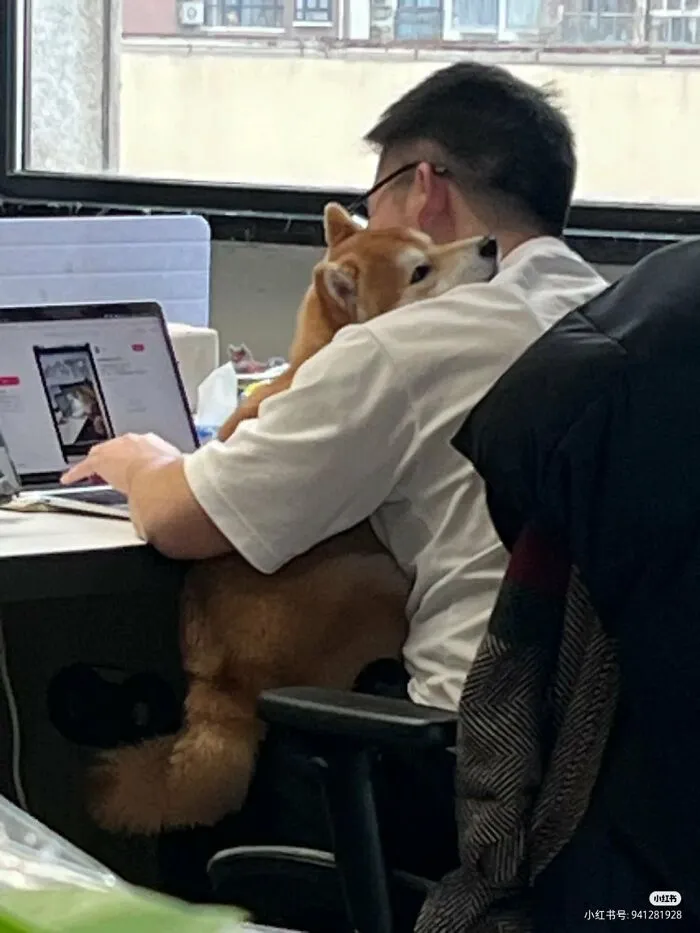 64 Wholesome Animal Photos Shared By This Page That Might Make You Smile Without Even Trying