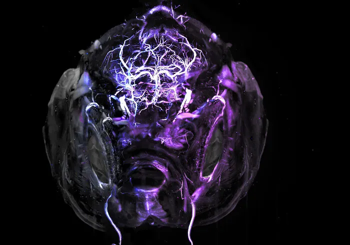 “Adult Zebrafish Brain” By Hannah Somers