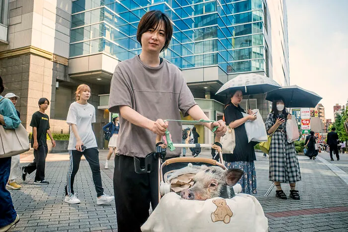 I Took 30 Photos That Show Why Japan Is A Dream Destination For Street Photographers