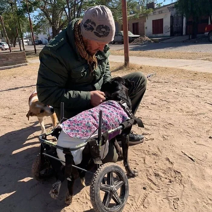 What It Takes To Care For More Than 600 Rescue Dogs: A Look Inside Refugio El Montecito