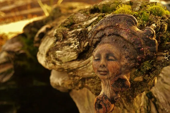 Through Her Beautiful Driftwood Sculptures, This Artist Seeks To Highlight The Unity Of Human Beings With Nature (28 New Pics)