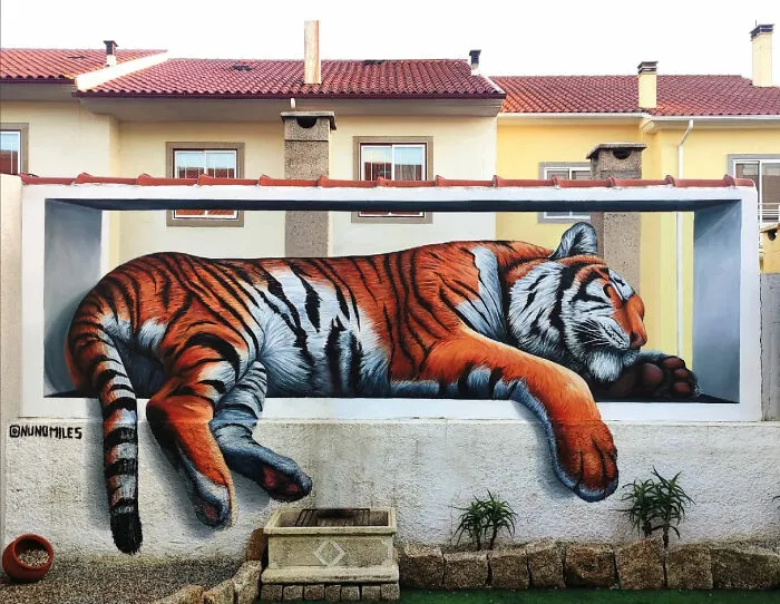 29 Amazing Wall Transformations By Nuno Miles That Turn Urban Spaces Into Hyperrealistic Art