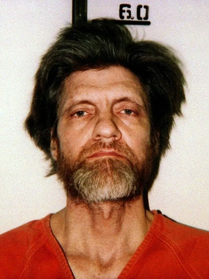 30 Strange Cases That Had Everyone Guessing Wrong Until The Truth Finally Clicked