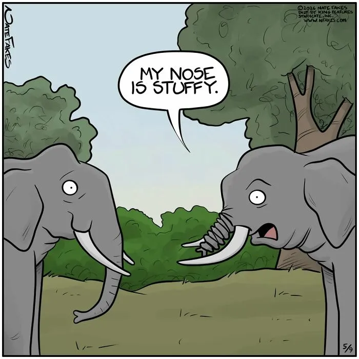 Comic by Nate Fakes of two elephants talking, one saying my nose is stuffy