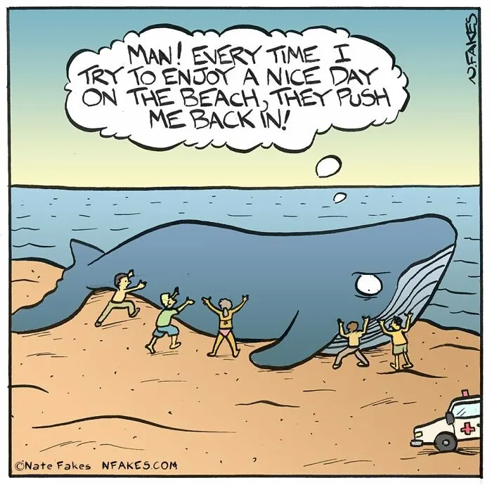 64 Witty Comics By Nate Fakes That Nail Life’s Absurdities (New Pics)