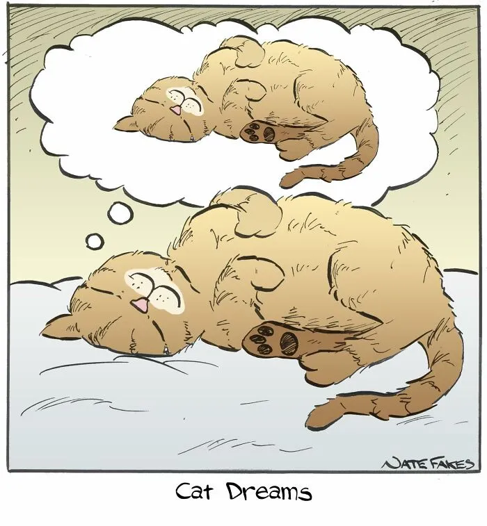 64 Witty Comics By Nate Fakes That Nail Life’s Absurdities (New Pics)