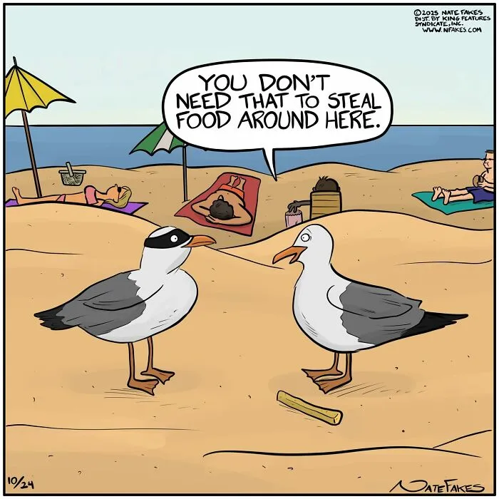 Comic by Nate Fakes with seagulls talking about stealing food at the beach