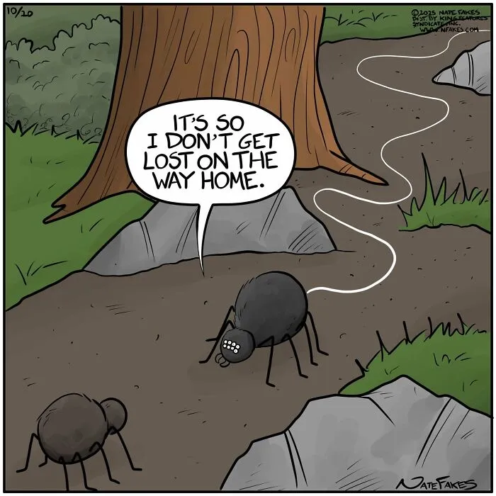 Spider drawing a path to avoid getting lost in Nate Fakes comic