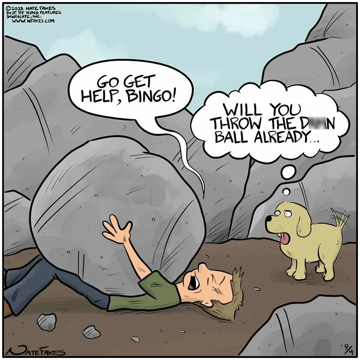 64 Witty Comics By Nate Fakes That Nail Life’s Absurdities (New Pics)