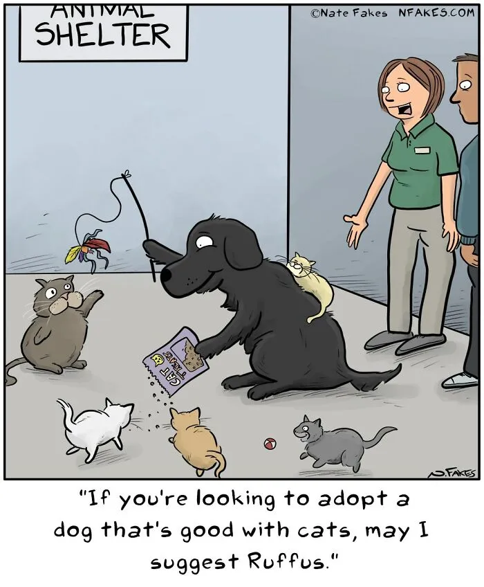 64 Witty Comics By Nate Fakes That Nail Life’s Absurdities (New Pics)