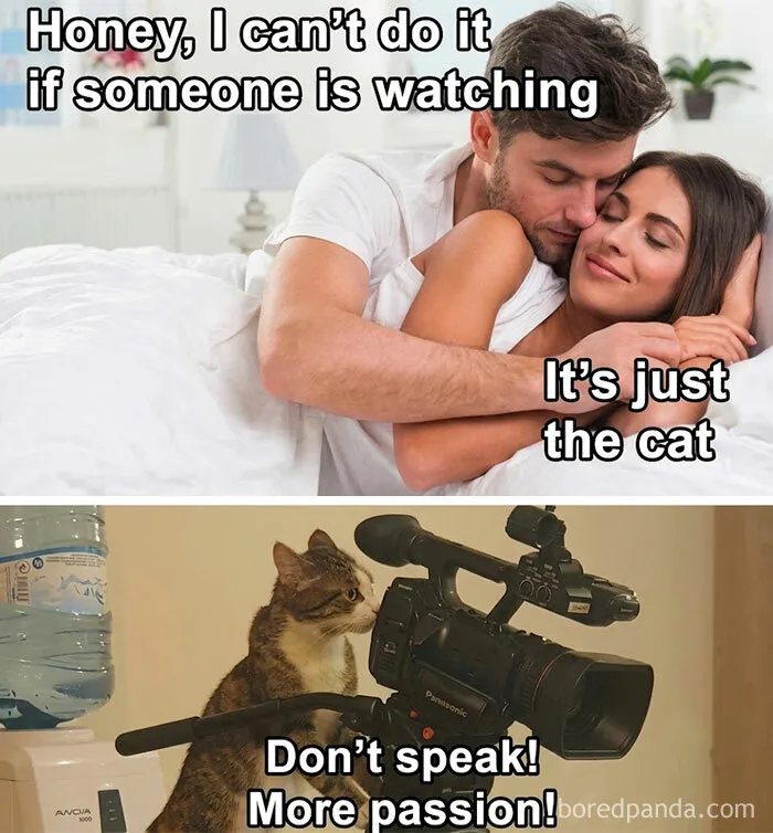 61 “Blursed” Memes To Make You Laugh, Then Wonder What’s Wrong With You