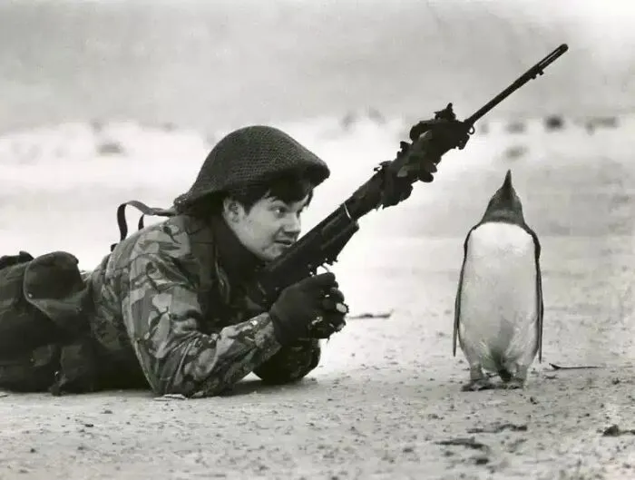 Un pingüino permanece en posición de firmes junto a un soldado británico tras la guerra de las Malvinas.