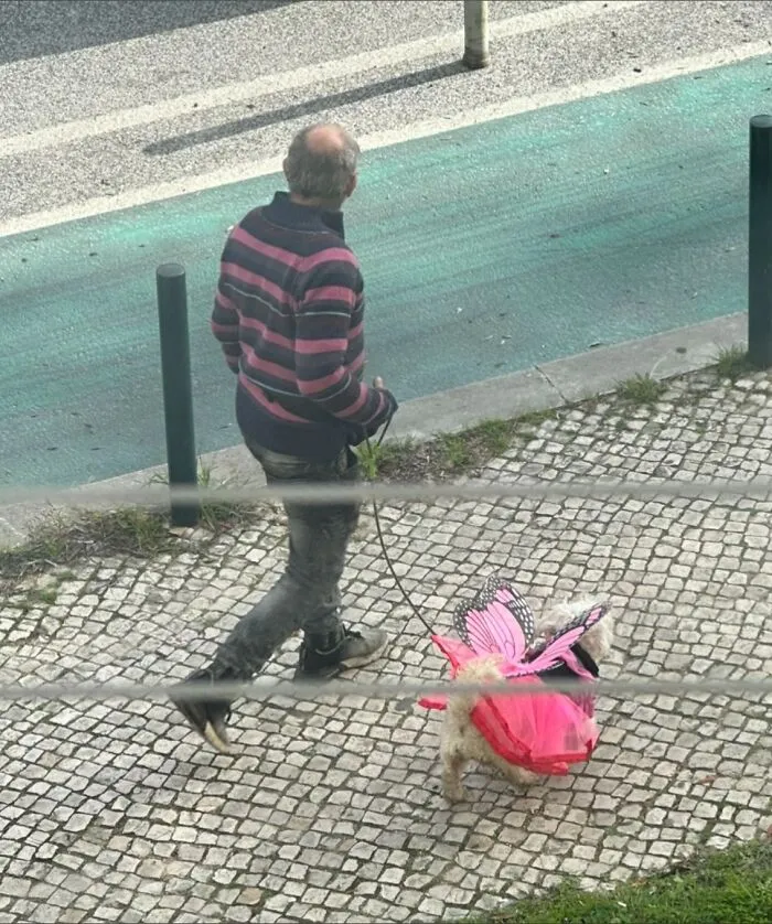 37 Random Photos That Look Completely Made-Up And Senseless, But  Are Quite Amusing Anyway