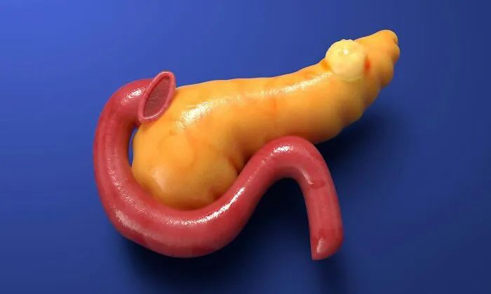 “Your Body Will Simply Give Up”: 38 Human Body Facts That Might Make You Scared To Be Alive