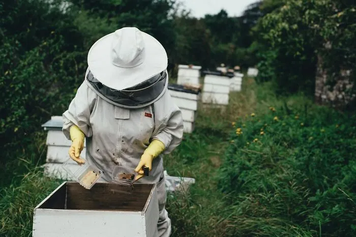 59 People With Unusual Careers Explain What They Do For A Living