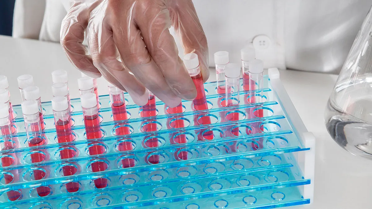 34 Stories About The Shocking Results Of DNA Testing That Created Or Destroyed Families