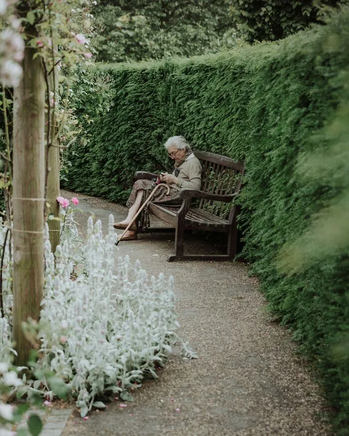 Wandering Isn't "Aimless" – There's Usually A Goal Behind It