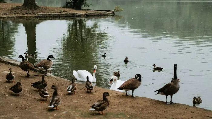39 Things Americans Barely Notice That Stand Out To Foreign Visitors