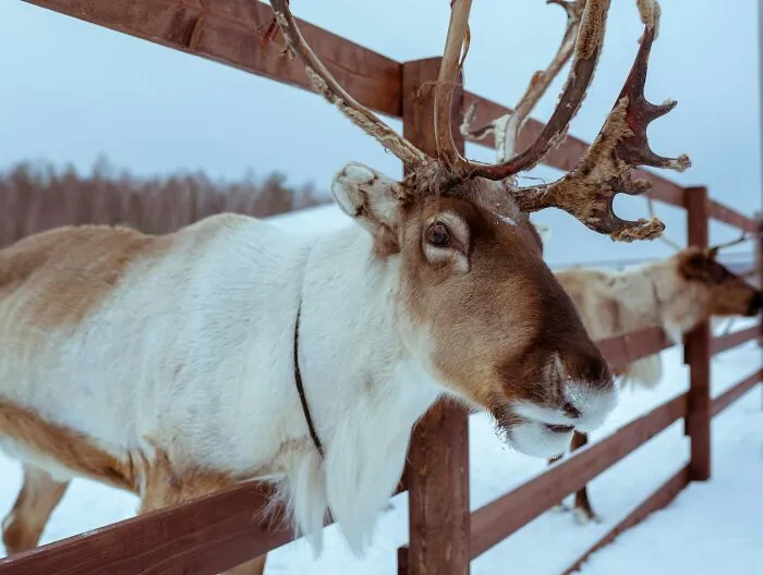 59 People With Unusual Careers Explain What They Do For A Living