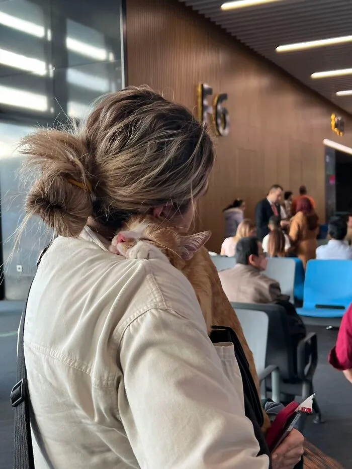 This Photo I Took At The Istanbul Airport I Still Look And Smile