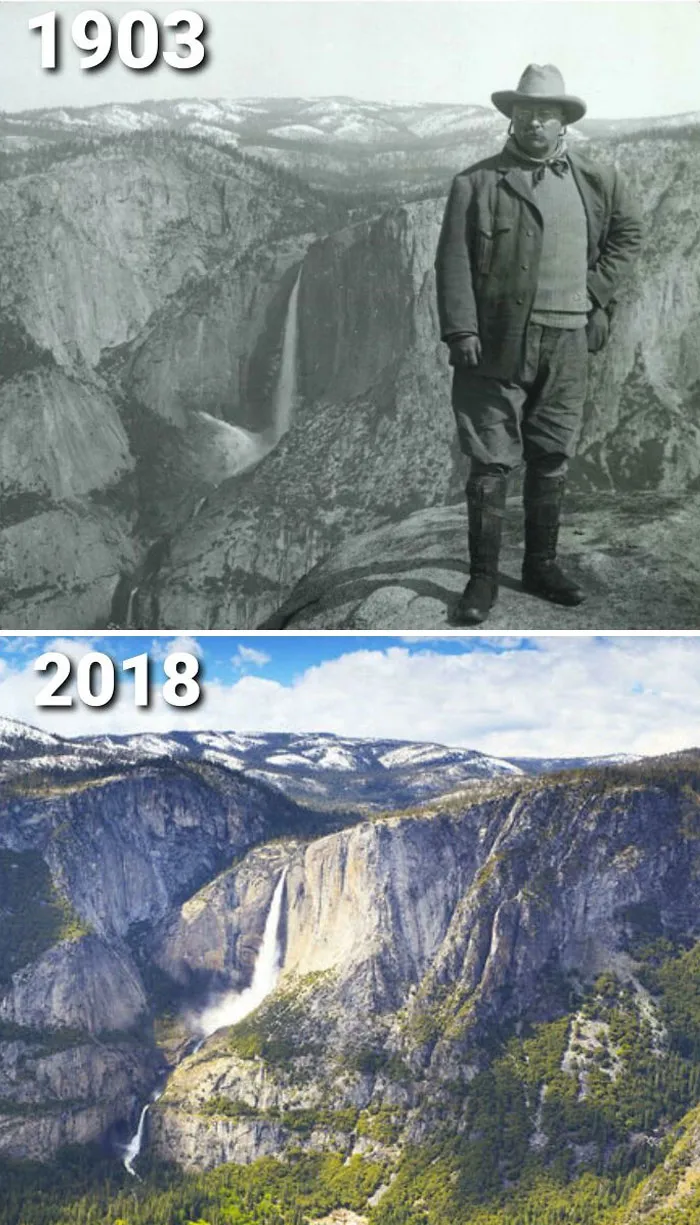Theodore Roosevelt estaría orgulloso