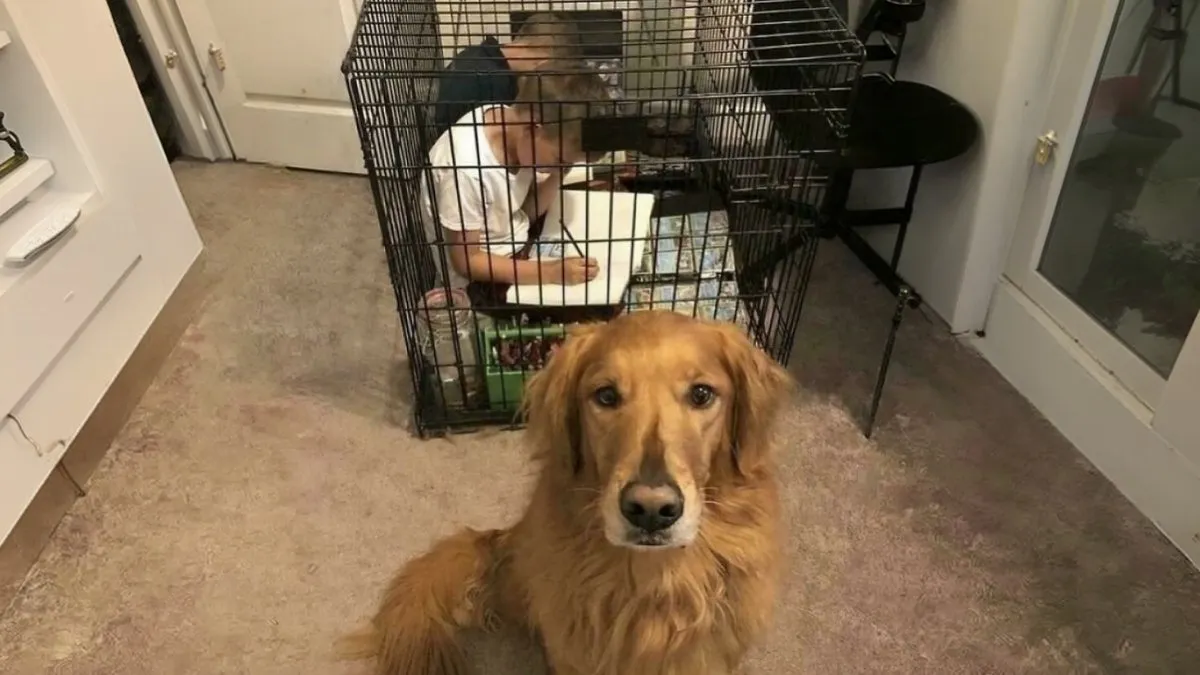 We’ve Gathered 67 "Blursed" Pics For Your Viewing Enjoyment, Here Are Some Of The Best Ones