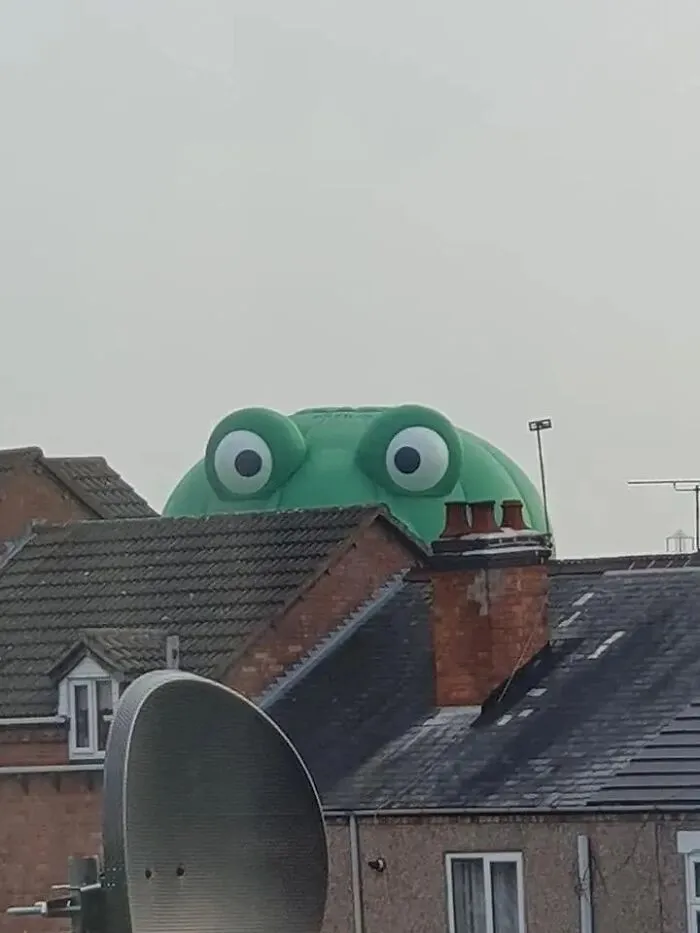 37 Random Photos That Look Completely Made-Up And Senseless, But  Are Quite Amusing Anyway