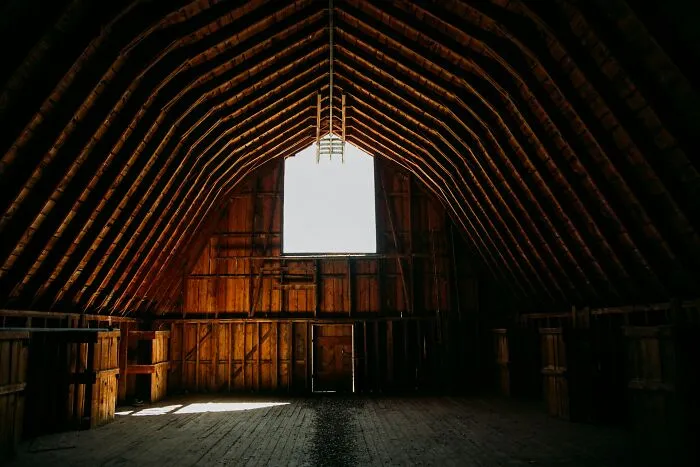 35 Cases So Bizarre People Still Argue About Them Today