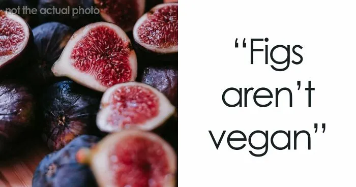 “Dangerous Because Of The Raw Flour”: 60 Food Facts That Sound Too Absurd To Be True