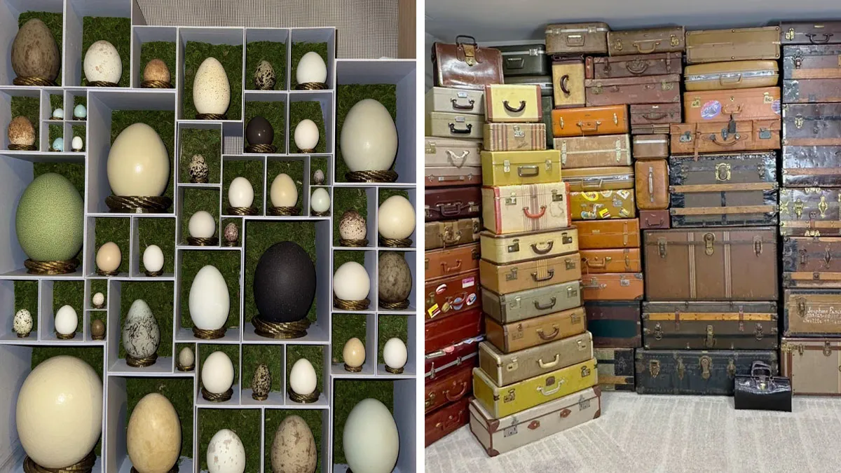 People Collect The Most Unexpected Things, And These 66 Collections Are Really Cool