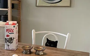32 Personas que transformaron sus hogares con brillantes ideas de decoración