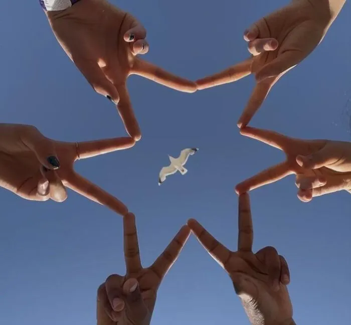Somehow A Bird Flew In The Middle Of Me And My Friends’ Star