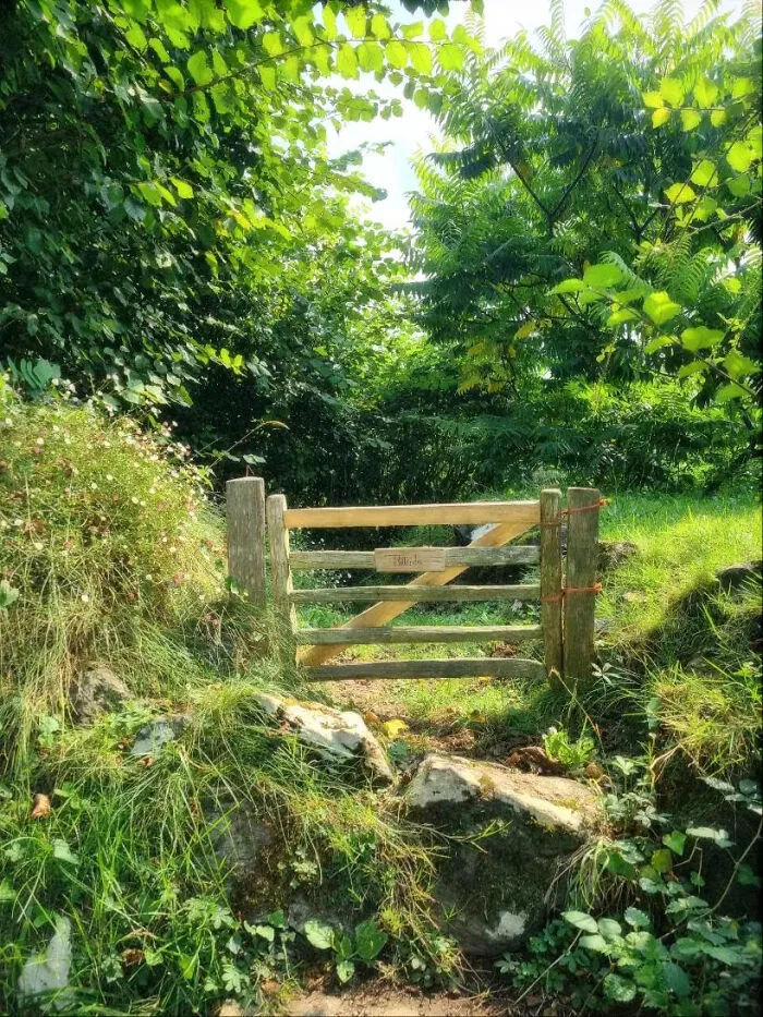 My Lil Fairy Gate✨🧚🏼‍♀️