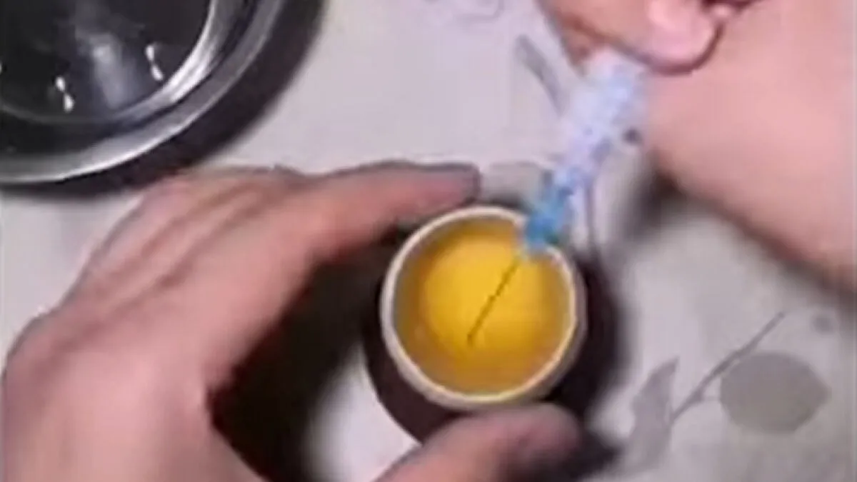"Quite Horrifying": Man Successfully Grows A Chicken In An Open Egg And Gets It On Video