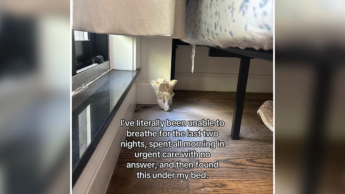 Woman Stunned By What She Finds Under Her Bed After Waking Up Multiple Nights Unable To Breathe