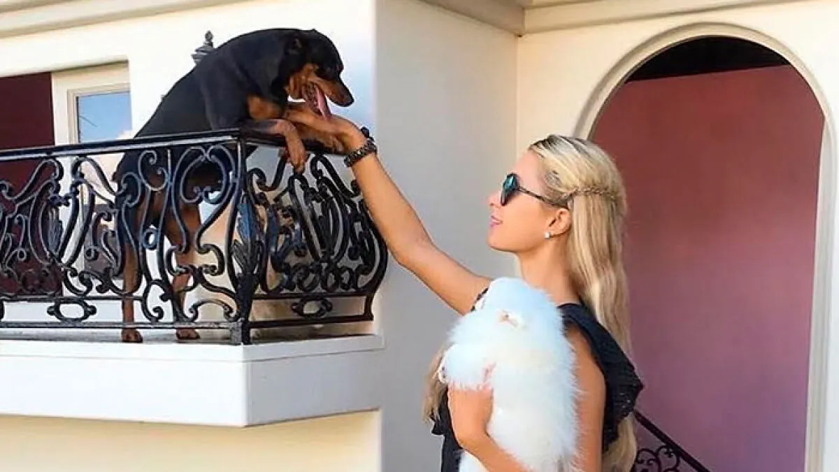 Expert Reveals The Celebs Who Have Devalued Their Homes With 'Questionable' Renovations