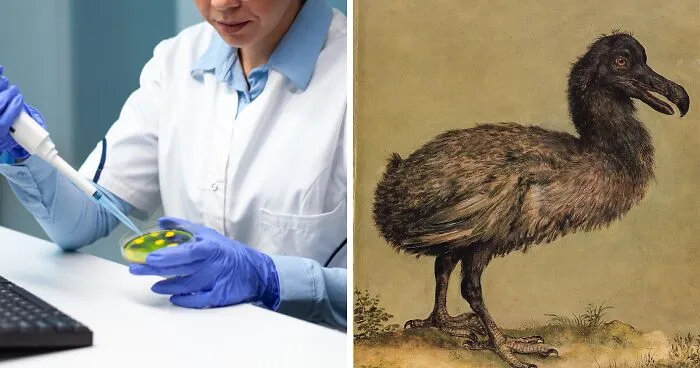 Company Hoping To Revive Extinct Animals By Cloning Them Successfully Creates The Artificial Egg Needed To Do So