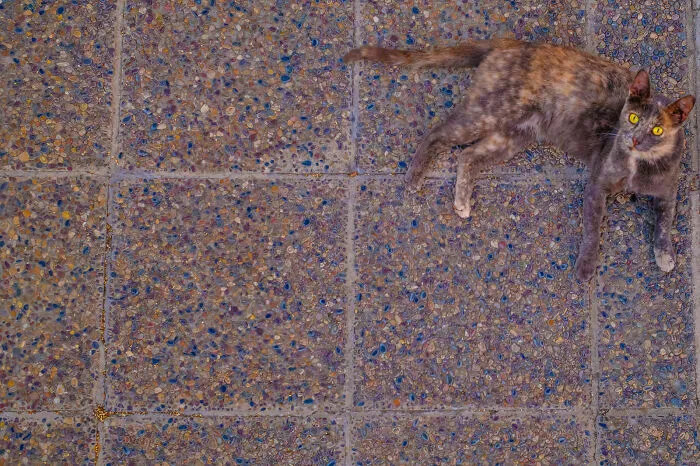 This Photographer Captures The Beautifully Odd Details Hiding In Plain Sight Around Cities (80 Pics)