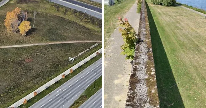 75 Times Urban Planners Failed To Predict What People Want, And It Resulted In ‘Desire Paths’ Around The City (New Pics)