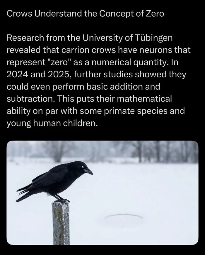 “Here To Explain Everything”: 92 Facts And Stories You Might Not Have Heard Of Before