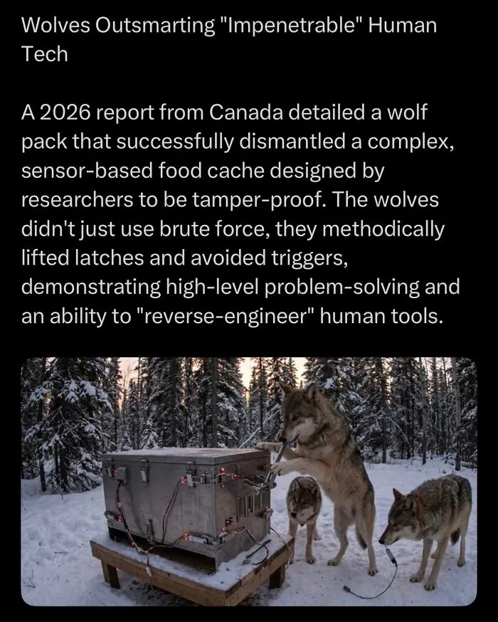 “Here To Explain Everything”: 92 Facts And Stories You Might Not Have Heard Of Before