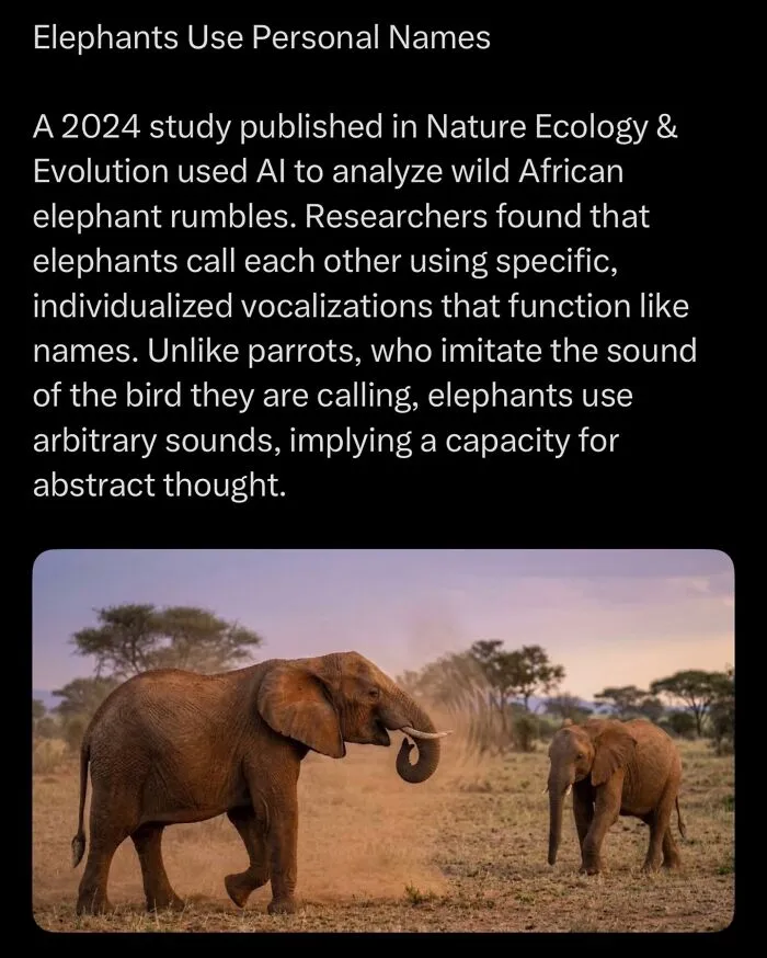 “Here To Explain Everything”: 92 Facts And Stories You Might Not Have Heard Of Before