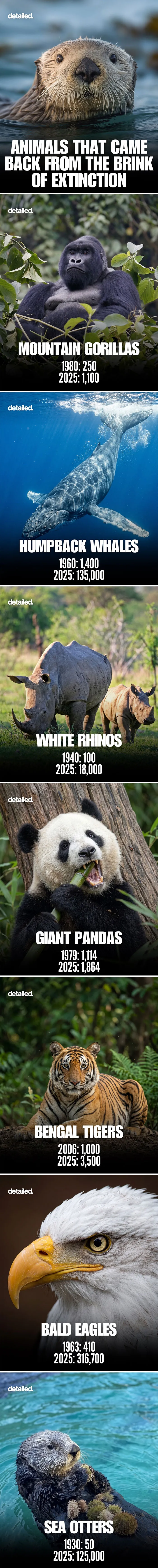 “Here To Explain Everything”: 92 Facts And Stories You Might Not Have Heard Of Before