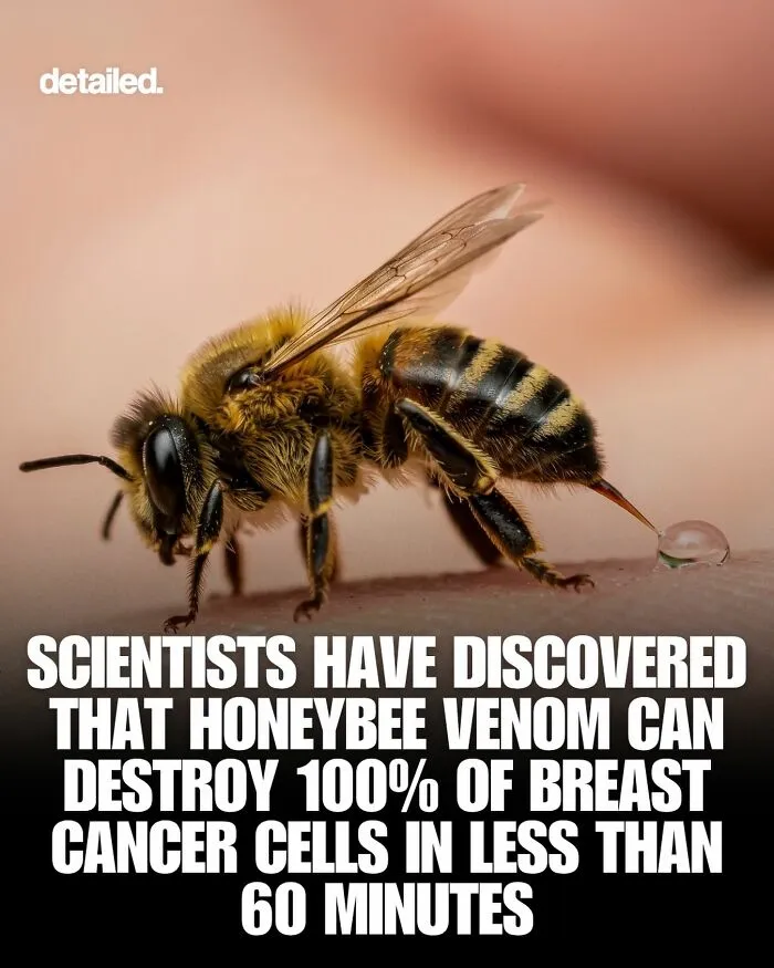 “Here To Explain Everything”: 92 Facts And Stories You Might Not Have Heard Of Before