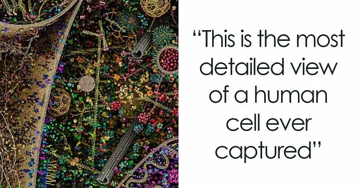 “Here To Explain Everything”: 92 Facts And Stories You Might Not Have Heard Of Before