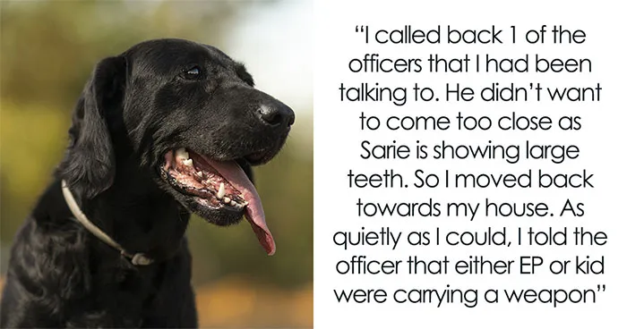 High Schoolers Annoy Dog Daily Till Owner Lets It Loose, Karen Mom Calls Cops But Faces Karma 