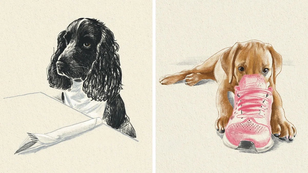 This Artist Turns Beloved Dogs Into Soft, Nostalgic-Looking Portraits (76 Pics)